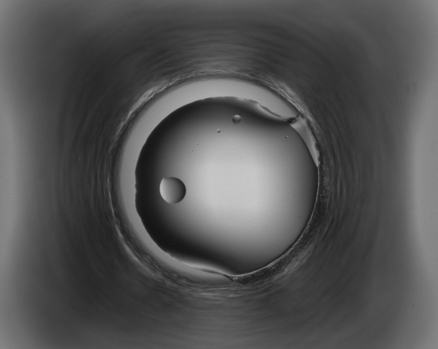 X0000083000530200703020906