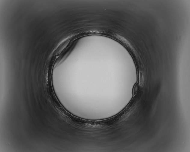 X0000083000531200703020906