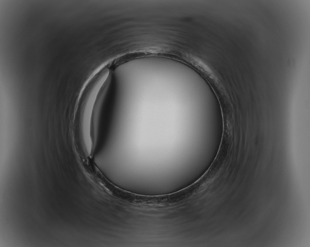 X0000083000532200703020906