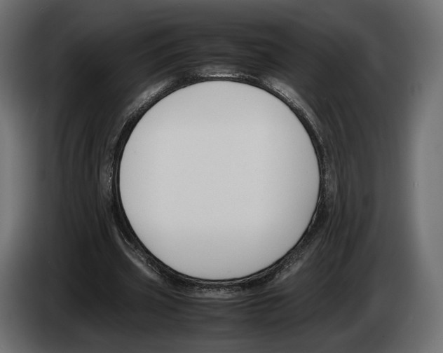 X0000083000533200703020906