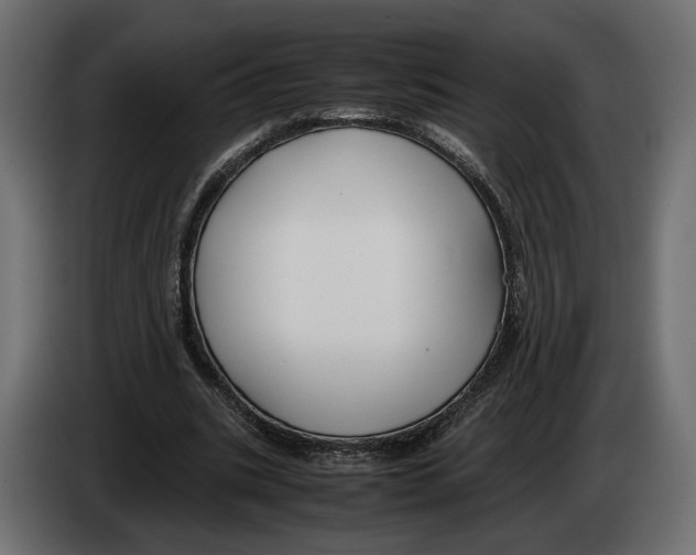 X0000083000535200703020906