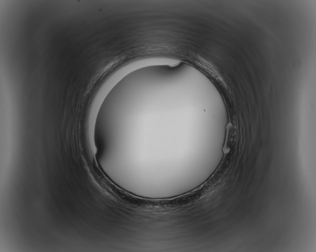 X0000083000538200703020906