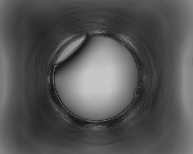 X0000083000539200703020906