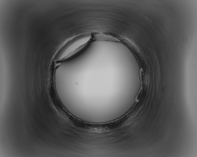 X0000083000540200703020906