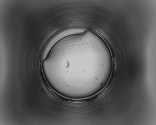 X0000083000542200703020906