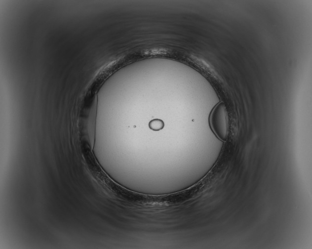 X0000083000543200703020906