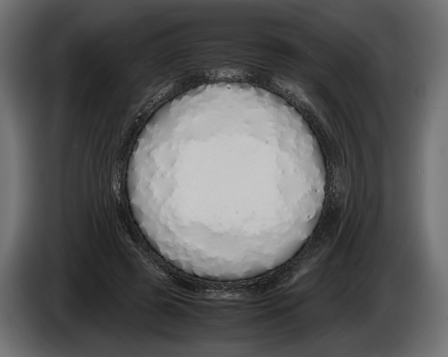 X0000083000545200703020906