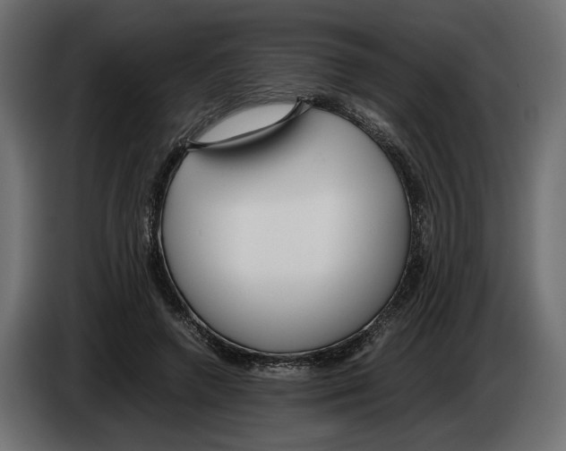 X0000083000546200703020906