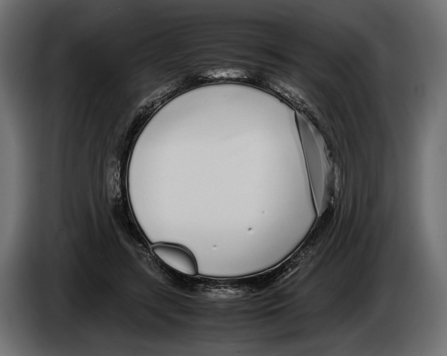 X0000083000547200703020906