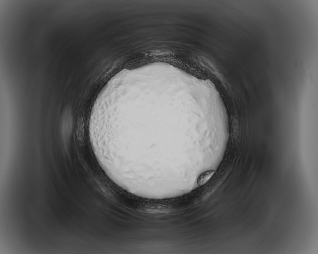 X0000083000549200703020906