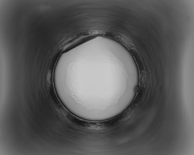 X0000083000550200703020906