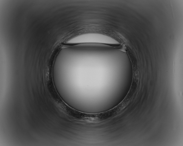 X0000083000552200703020906