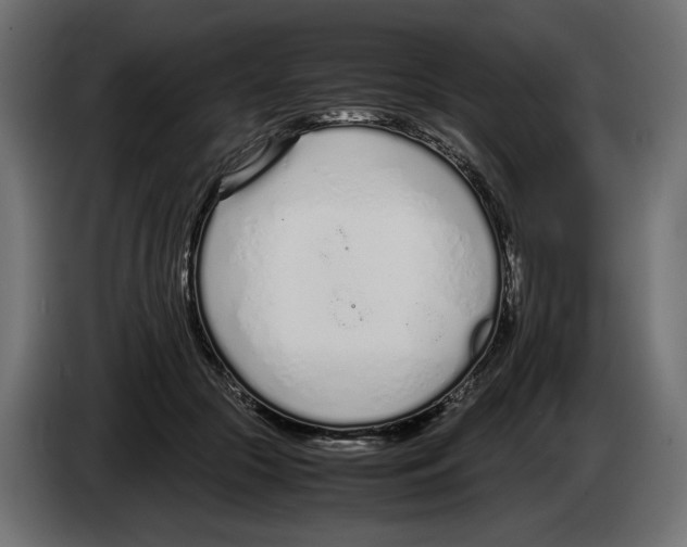 X0000083000553200703020906