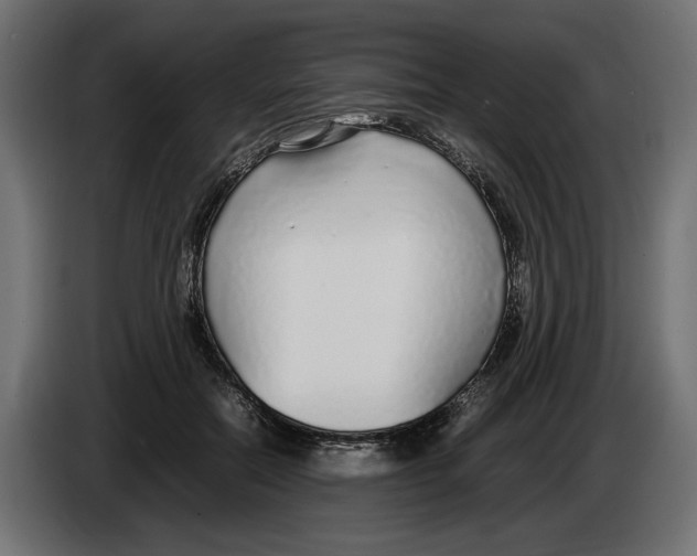 X0000083000554200703020906