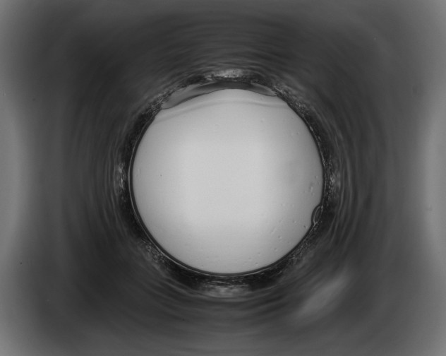 X0000083000555200703020906