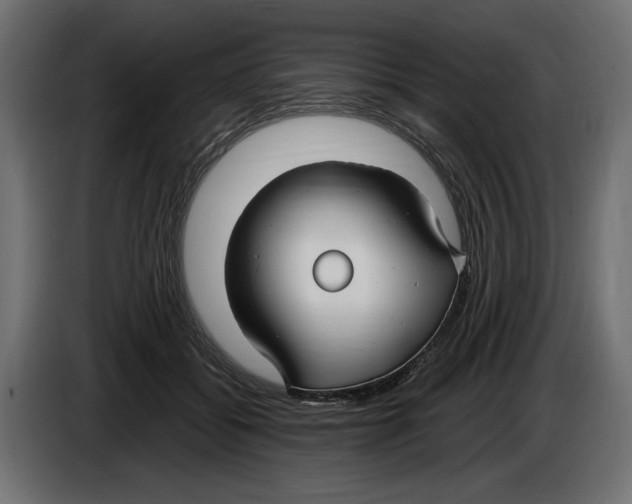 X0000083000556200703020906