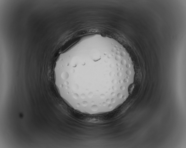 X0000083000557200703020906