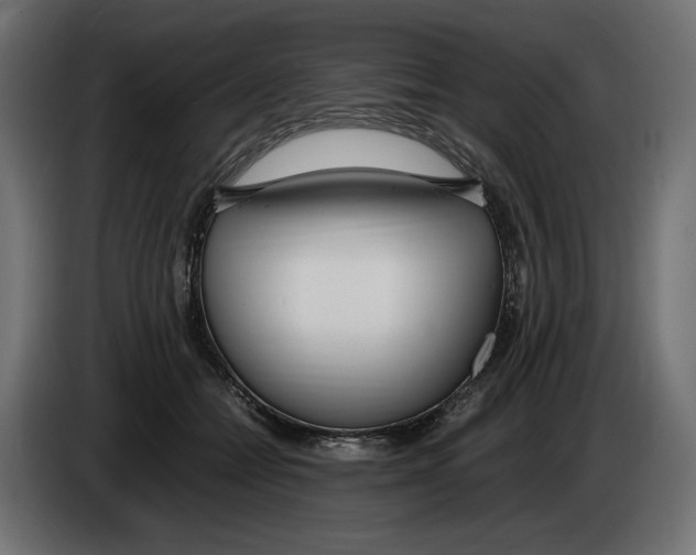 X0000083000558200703020906