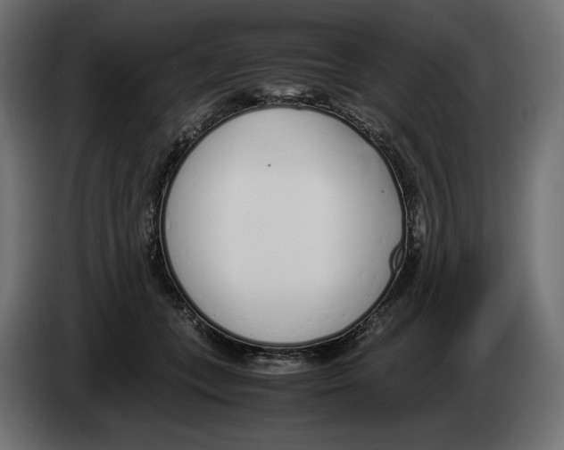 X0000083000559200703020906