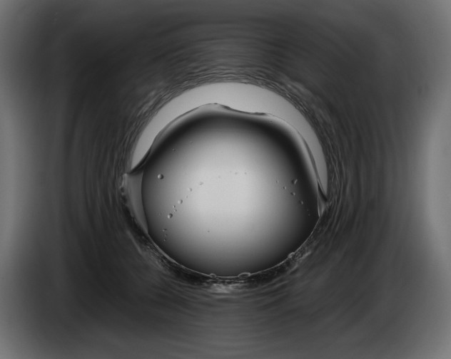 X0000083000560200703020906