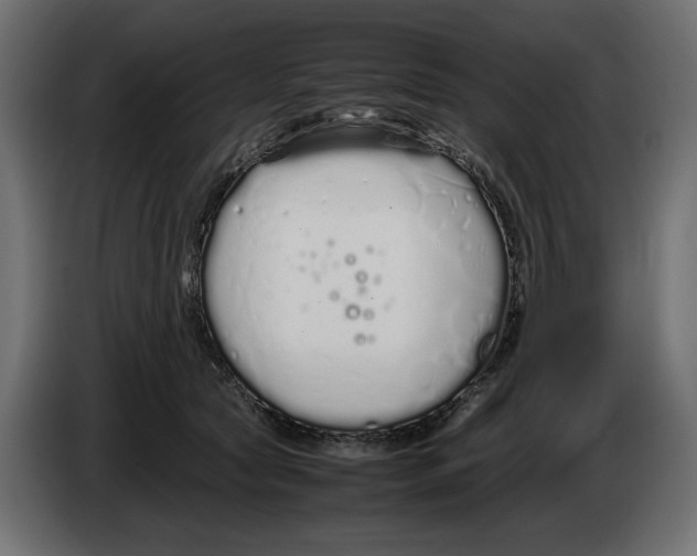 X0000083000561200703020906