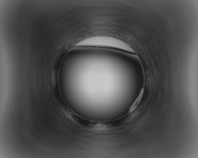 X0000083000562200703020906