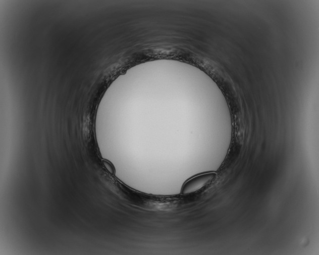 X0000083000563200703020906