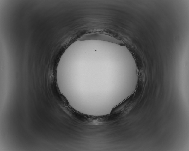 X0000083000564200703020906