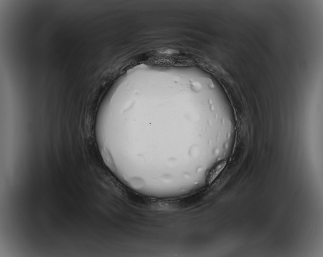 X0000083000565200703020907