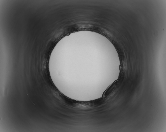 X0000083000567200703020907