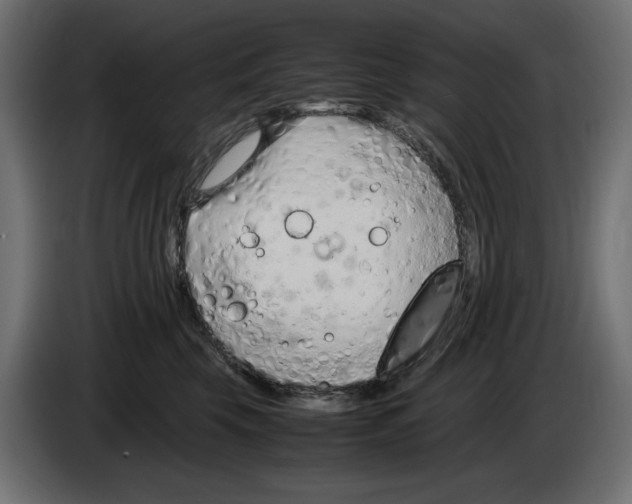 X0000083000569200703020907