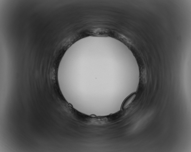 X0000083000571200703020907