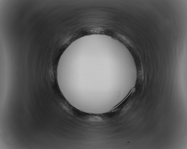 X0000083000572200703020907