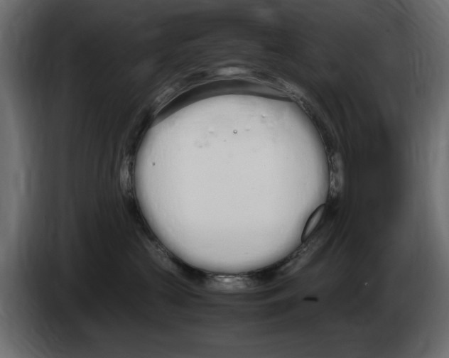 X0000083000573200703020907