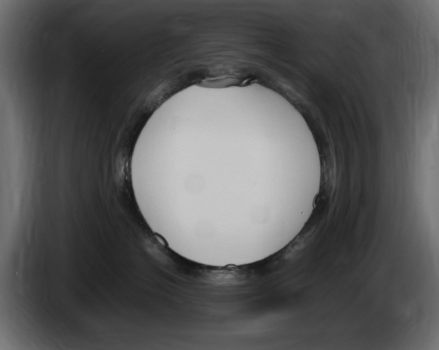 X0000083000574200703020907