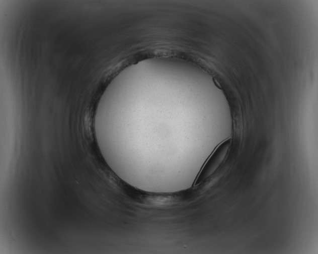 X0000083000575200703020907