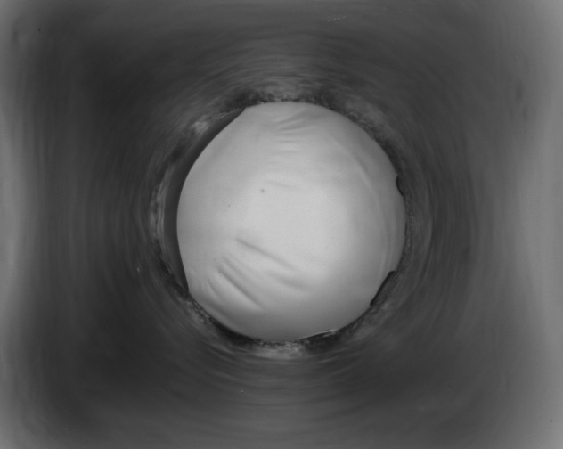 X0000083000576200703020907