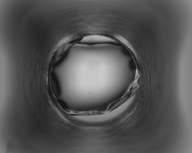 X0000083000581200703020906