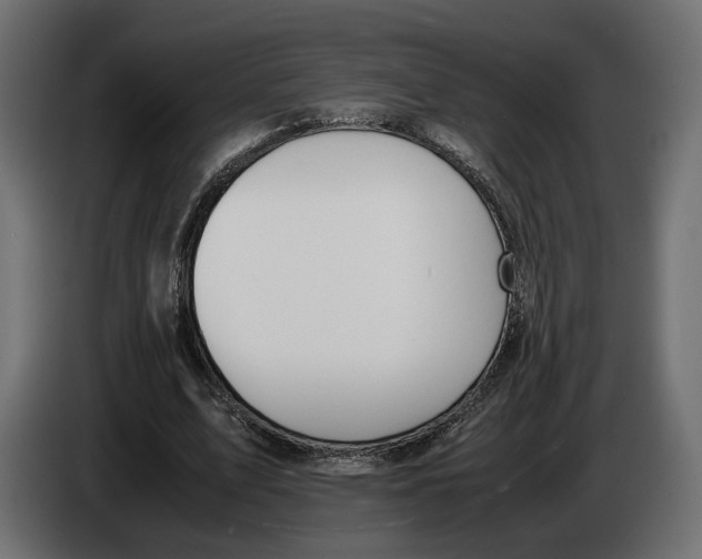 X0000083000583200703020906