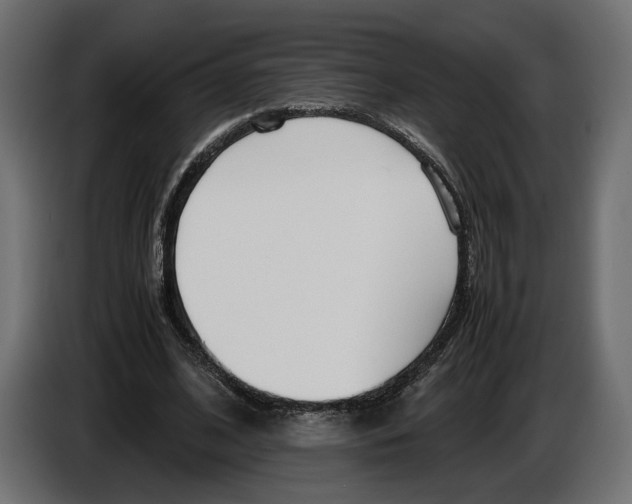 X0000083000584200703020906