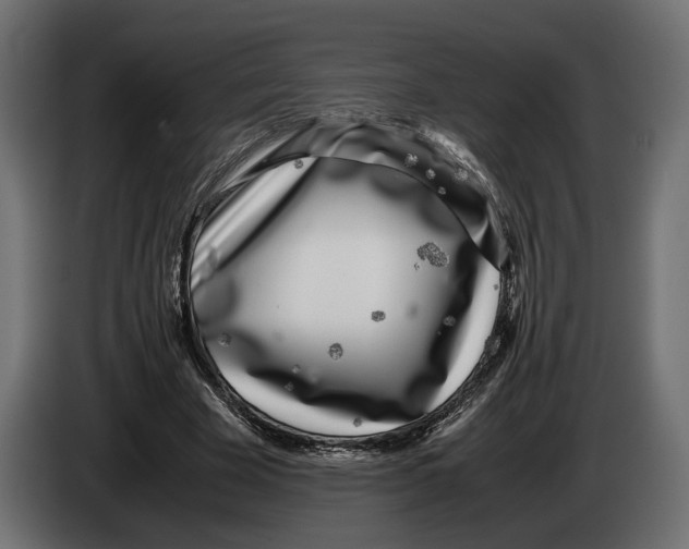 X0000083000585200703020906