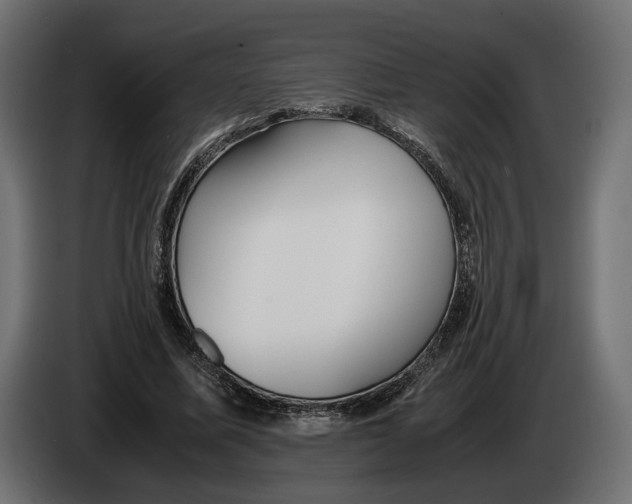 X0000083000587200703020906