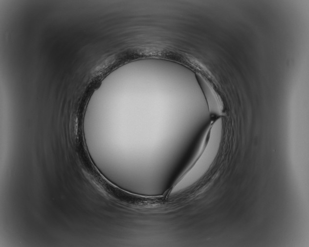 X0000083000589200703020906