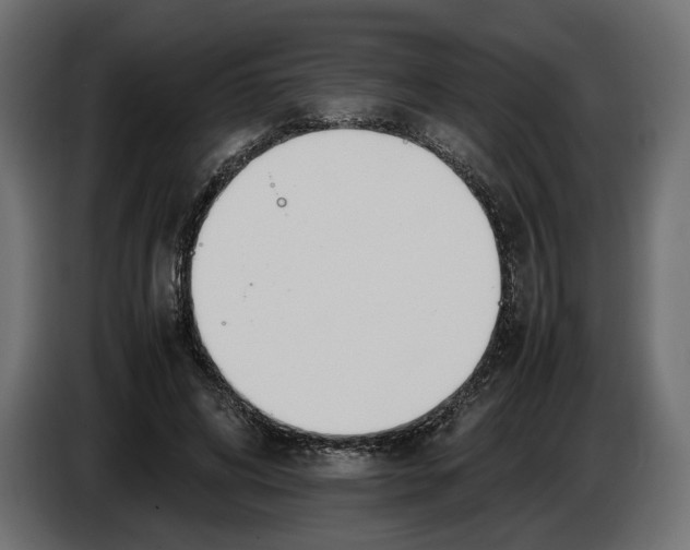 X0000083000592200703020906