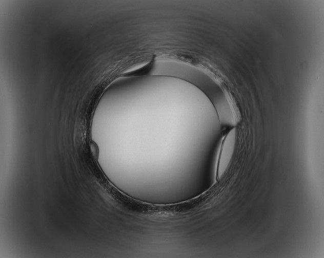 X0000083000593200703020906