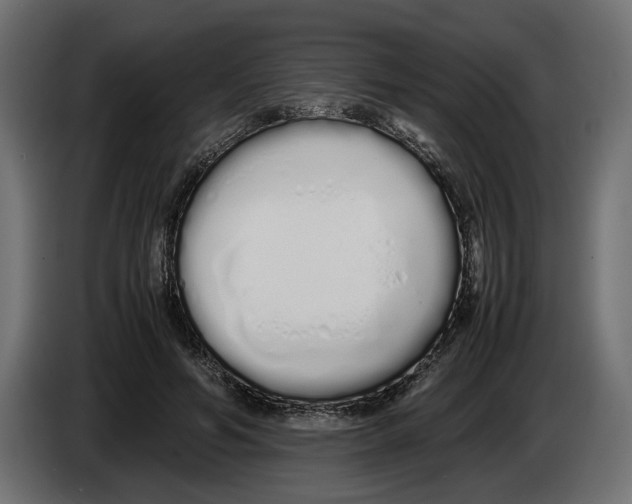 X0000083000594200703020906