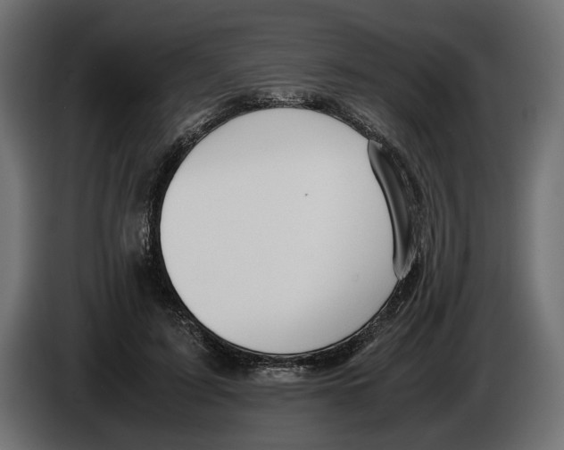 X0000083000595200703020906