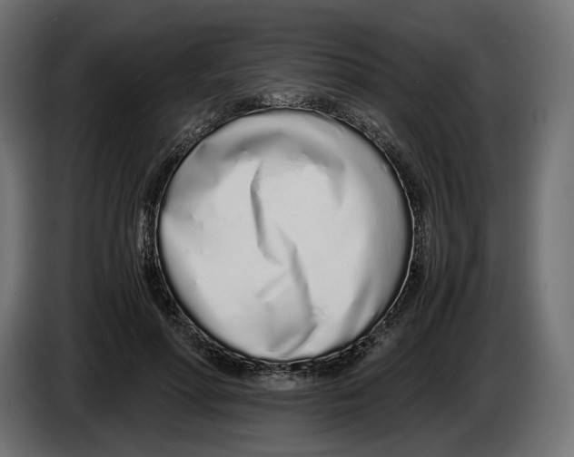 X0000083000598200703020906