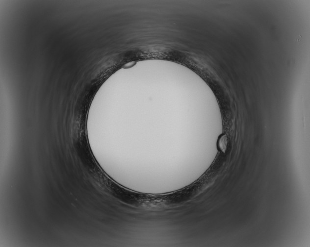 X0000083000599200703020906