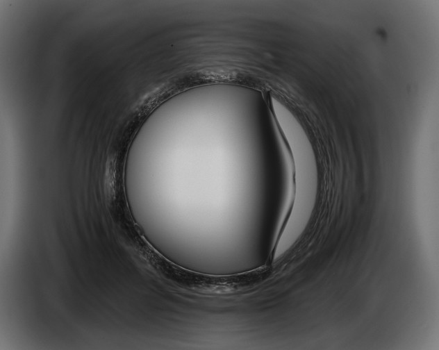 X0000083000600200703020906